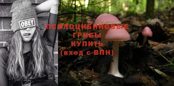 молекула духа Арсеньев