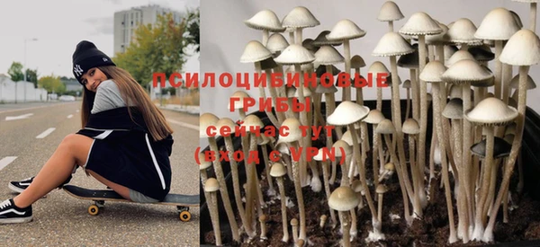 спиды Армянск