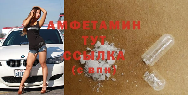 молекула духа Арсеньев