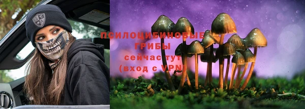 спиды Армянск
